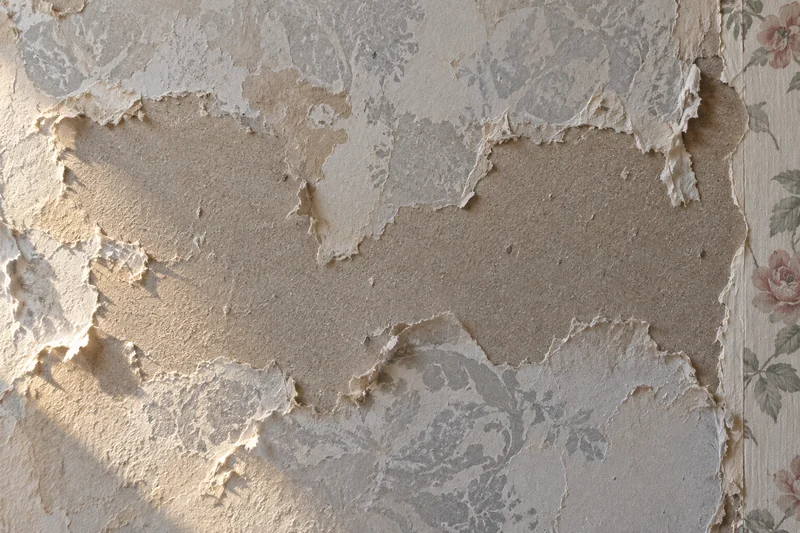 Torn board facing and dried paste left behind after wallpaper was pulled off